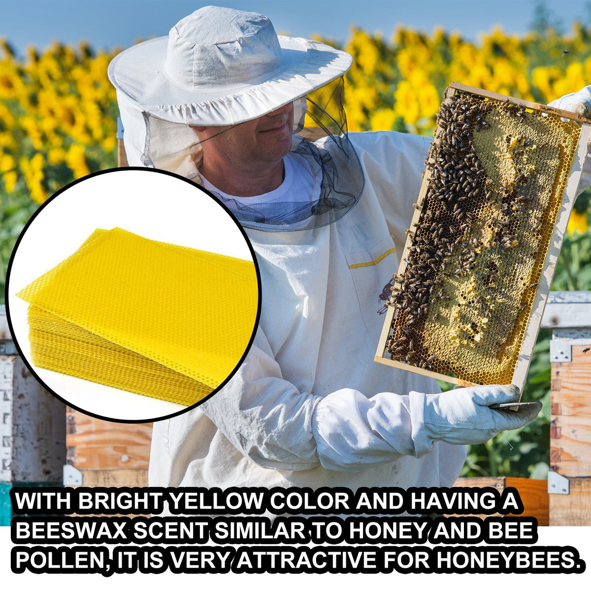 Beeswax Excellent Deep Nest Honey Base Tablets 10pcs-1box