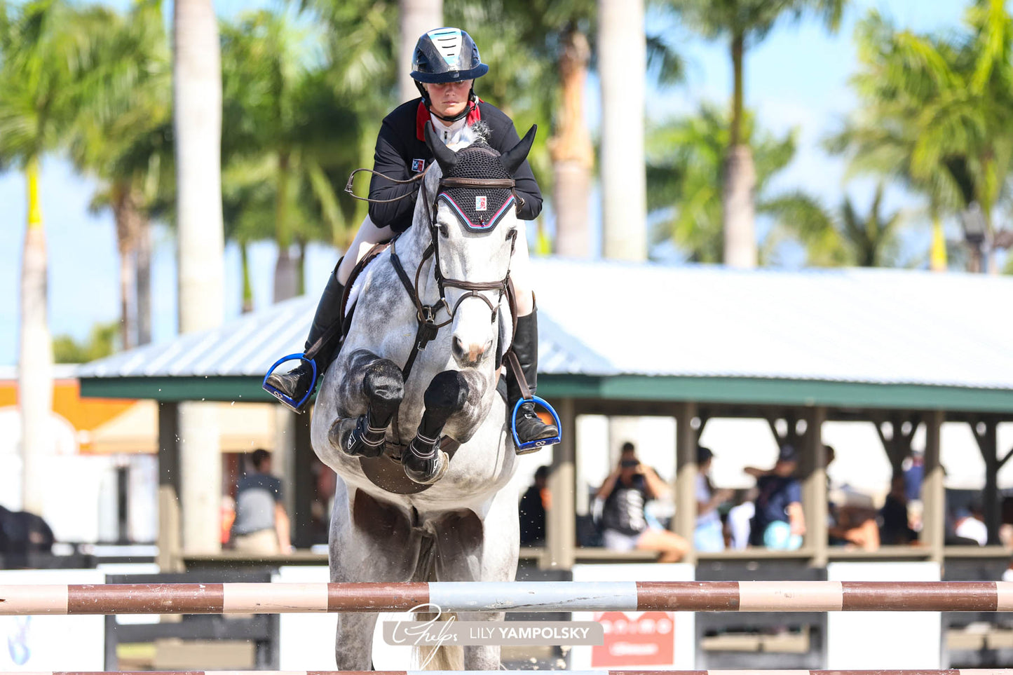 American Equus "Elite" English Stirrups Illusion Blue