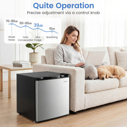 Compact Mini Fridge with 7-Level Adjustable Thermostat-Silver