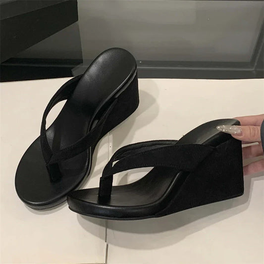 Aneikeh Fashion Summer Clip Toe Platform Wedges Women Slippers Thick High Heels Beach Flip Flops Slide Shoes 2026