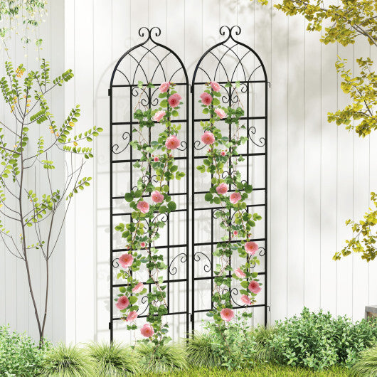 2 Pack 71" x 20" Heavy-Duty Metal Garden Trellis Metal Coating Patio for Outdoor