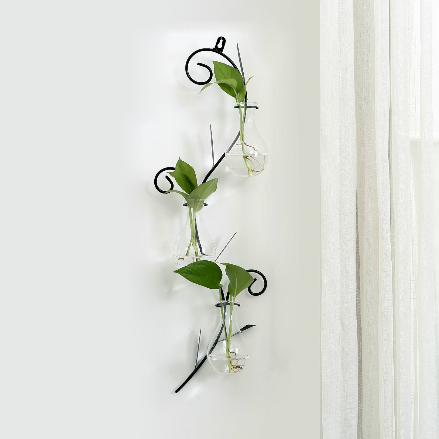 Transparent glass vase