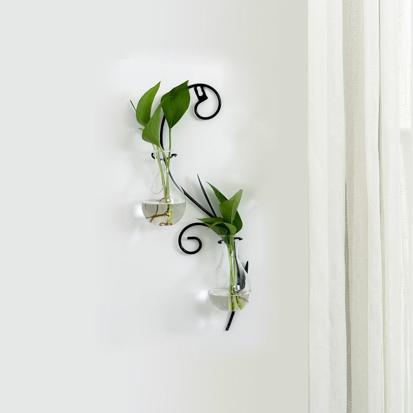 Transparent glass vase