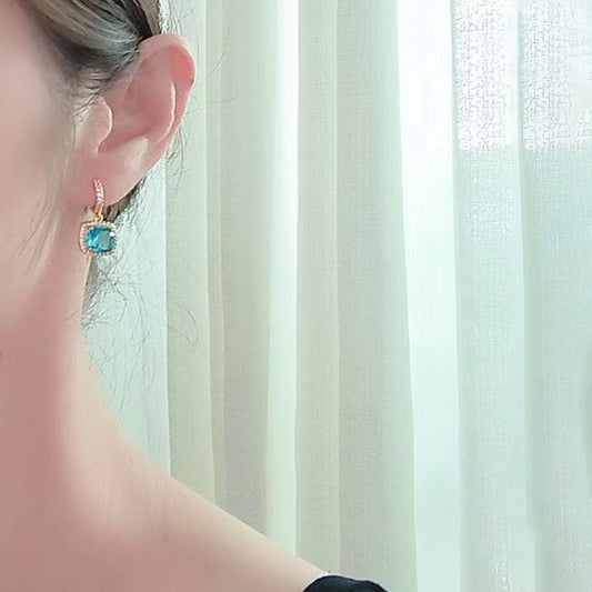 S925 Sterling Silver Inlaid Zircon Earrings