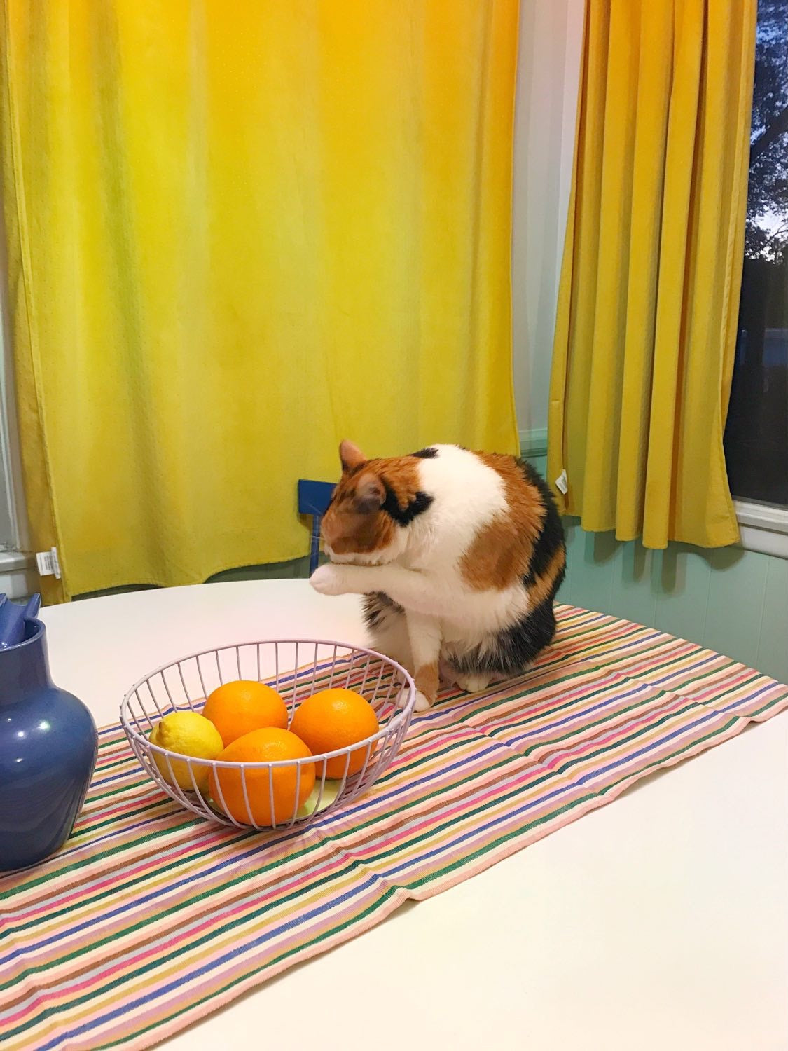 Valentina Rainbow Runner