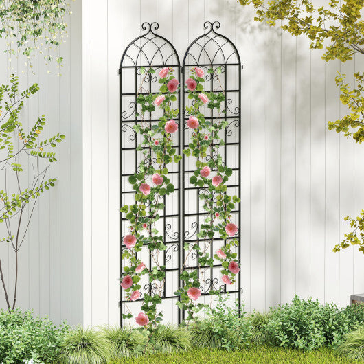 2 Pack 86" x 20" Metal Garden Trellis for Outdoor Climbing Plants