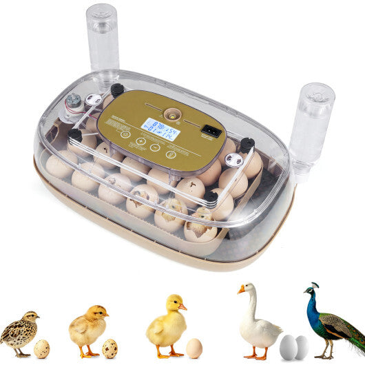 Egg Incubator with Temp and Humidity Control
