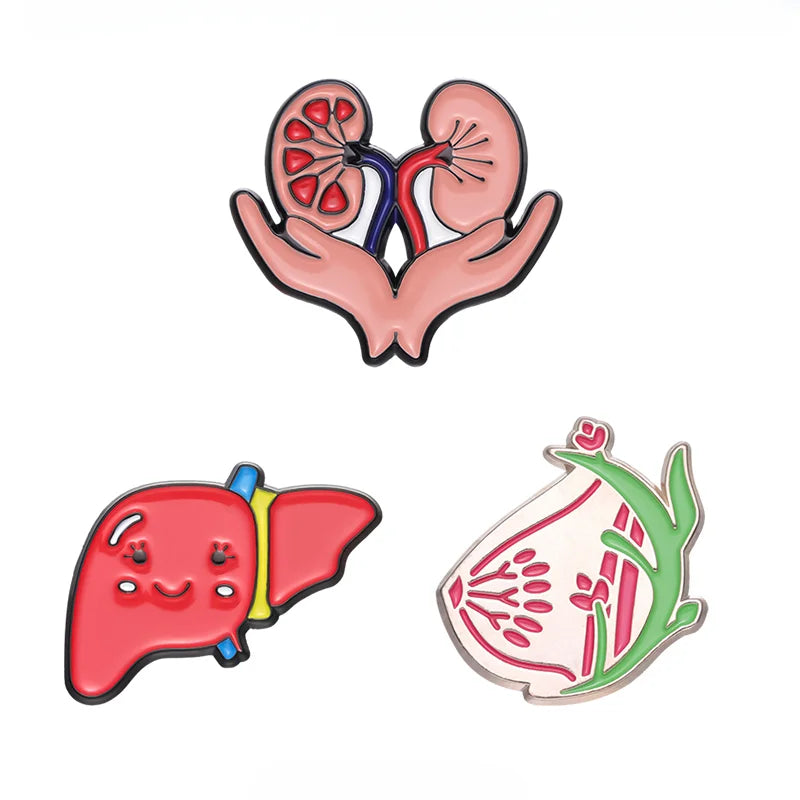 Cute Healthy Liver Organ Enamel Pin Visceral Kidney Breast Brooch Lapel Metal Badge Jewelry Gift for Doctors Nurses Wholesale