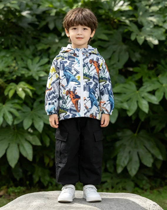 Spring and Autumn hooded thin jacket, fashionable and versatile, suitable for boys aged 1-7