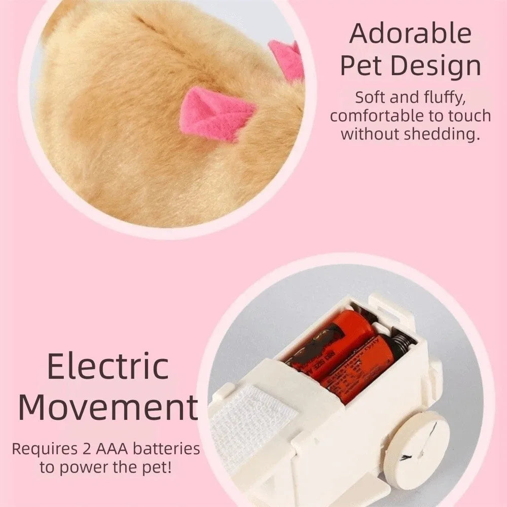 Transparent Cat Chasing Ball Built-in Plush Animal Plastic Interactive Cat Toy Realistic Rabbit Hamster Chasing Ball