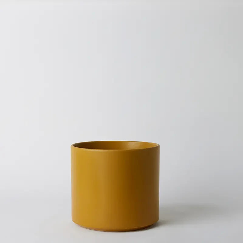 Solid Goods Ceramic Cylinder– With or Without Mahogany Stand