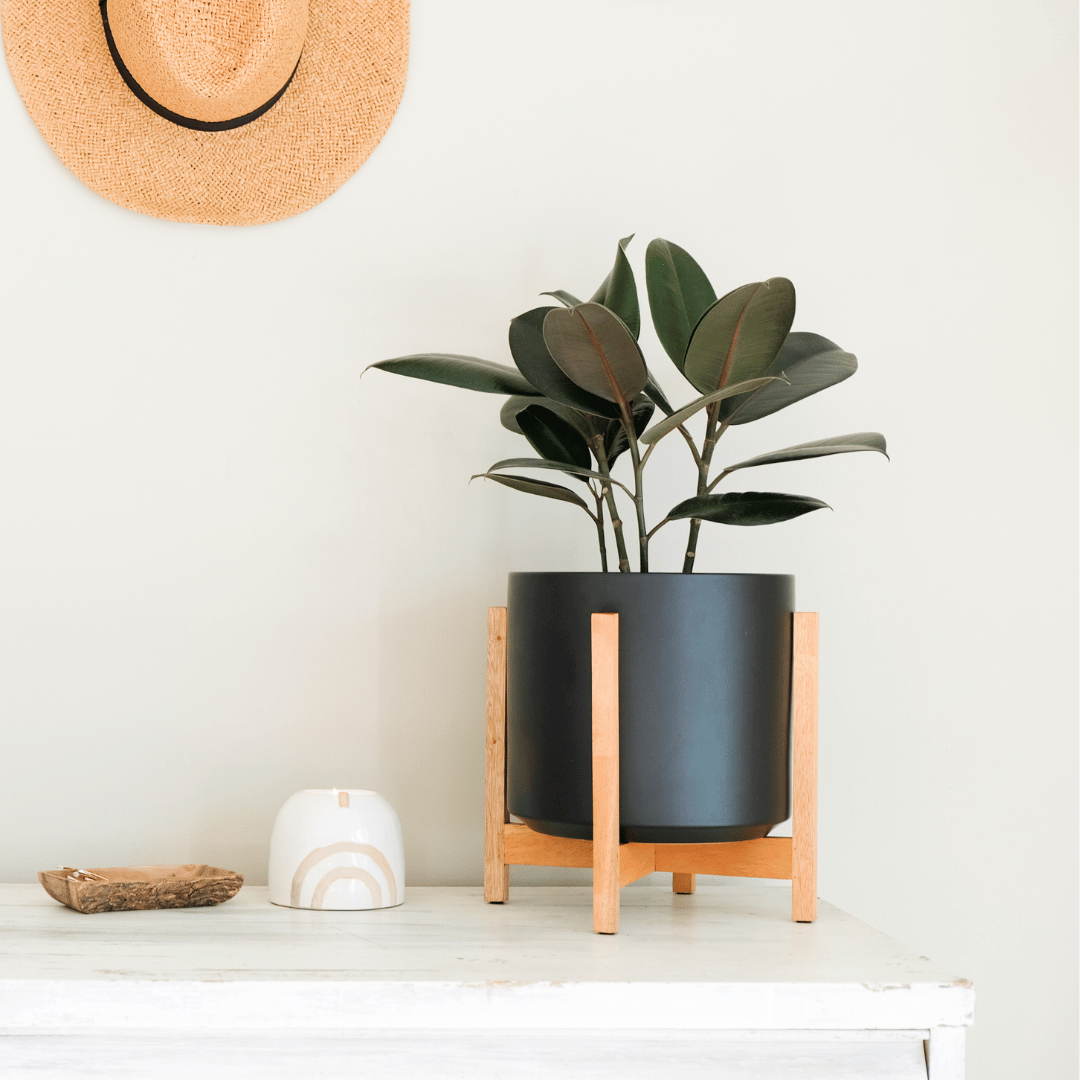 Solid Goods Ceramic Cylinder– With or Without Mahogany Stand