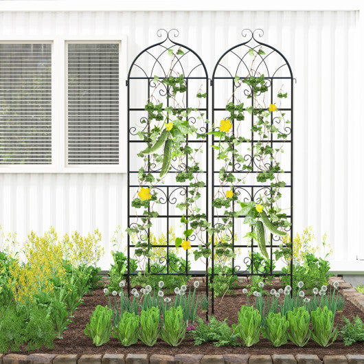 2 Pack 71" x 20" Heavy-Duty Metal Garden Trellis Metal Coating Patio for Outdoor