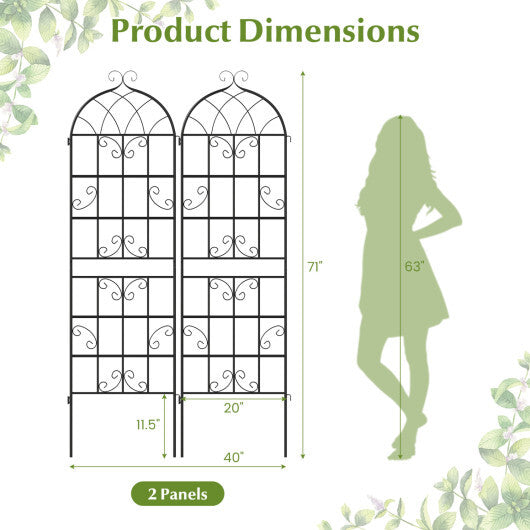 2 Pack 71" x 20" Heavy-Duty Metal Garden Trellis Metal Coating Patio for Outdoor
