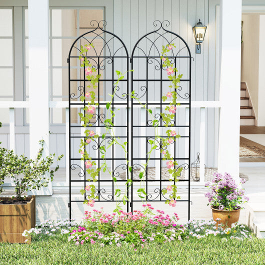 2 Pack 71" x 20" Heavy-Duty Metal Garden Trellis Metal Coating Patio for Outdoor
